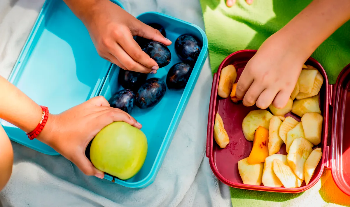 Snacks saludables para niños en verano