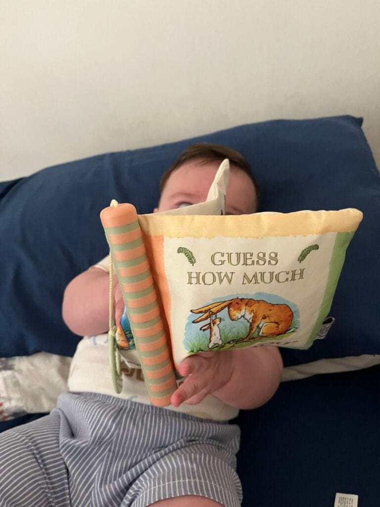 bebe 6 meses y adivina cuanto te quiero
